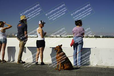 media/Apr-13-2024-Speed Ventures (Sat) [[14e9a3c930]]/Around the Pits/